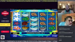 Неплохая призовая в Wild Shark по $6 за спин