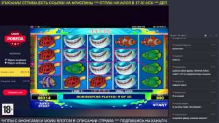 Отличная призовая в Wild Shark по $8