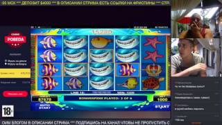 Призовая игра в Wild Shark по $10 в удар