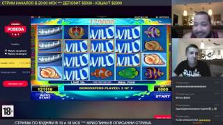 Wild Shark призовая по $50 долларов